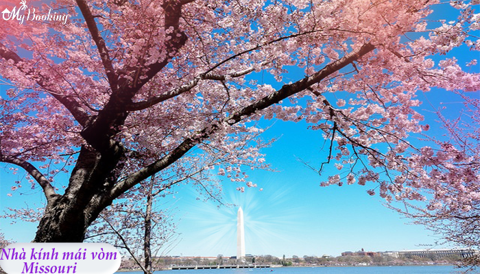 vé máy bay đi mỹ