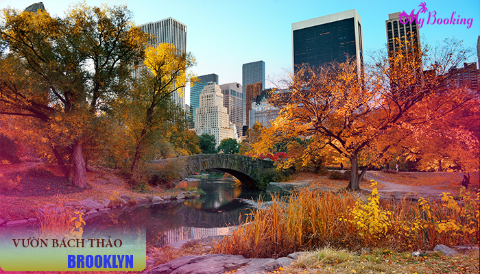 vé máy bay đi mỹ