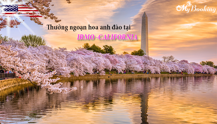 vé máy bay đi mỹ