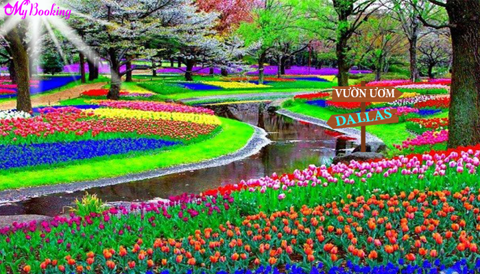 vé máy bay đi mỹ